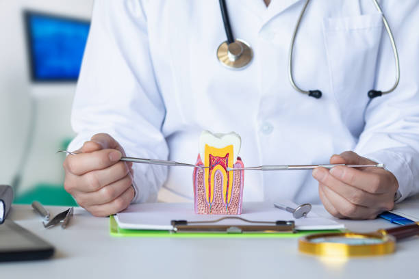 Best Emergency Treatment for Dental Infections or Abscesses in Rutherford, PA